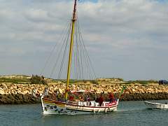 CIMG0876.jpg