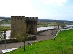 CIMG0879.jpg