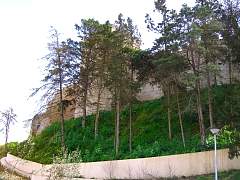 CIMG0884.jpg