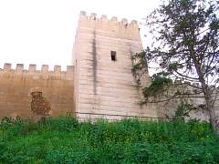 CIMG0885.jpg