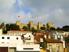 CIMG0895.jpg