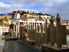 CIMG0902.jpg