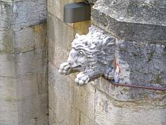 CIMG0927.jpg