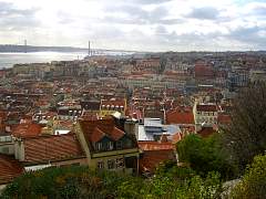 CIMG0956.jpg