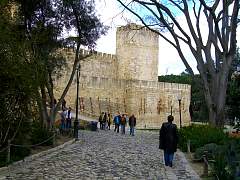 CIMG0966.jpg
