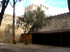 CIMG0969.jpg