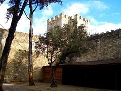 CIMG0970.jpg
