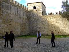 CIMG0971.jpg