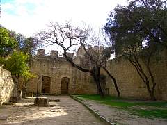 CIMG0972.jpg