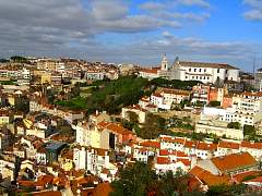 CIMG0973.jpg