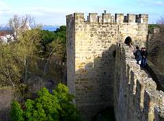 CIMG0975.jpg