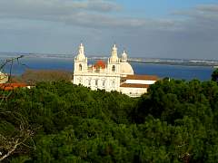CIMG0977.jpg