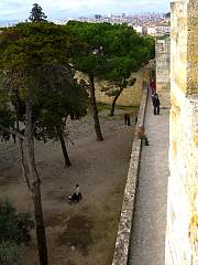 CIMG0987.jpg