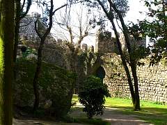 CIMG1022.jpg