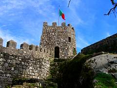 CIMG1053.jpg