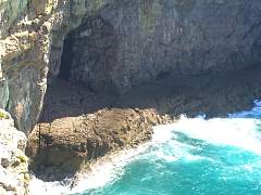 CIMG1196.jpg