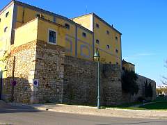 CIMG1215.jpg