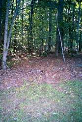 007_07.JPG