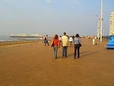 CIMG1380.jpg