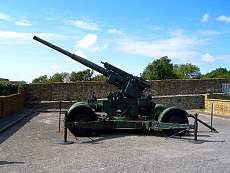CIMG1446.jpg