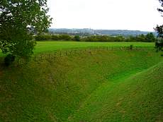 CIMG1580.jpg