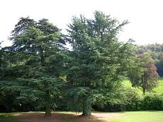 DSCN0143.jpg