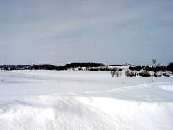 X034.jpg