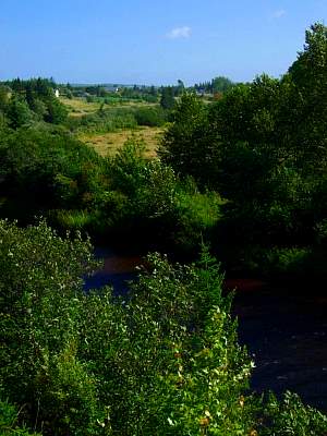 DSCF9325.jpg