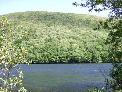 DSCF9330.jpg