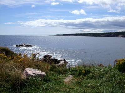 DSCF9391.jpg