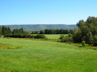 IMG_0482.jpg