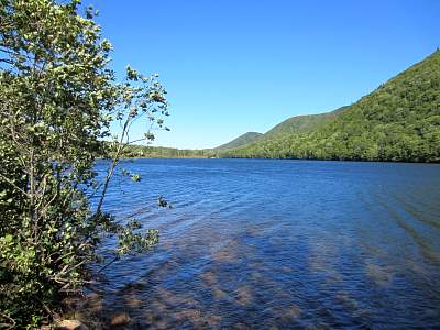 IMG_0488.jpg