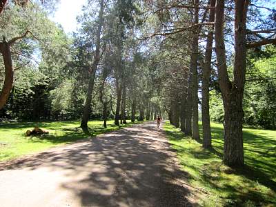 IMG_0491.jpg