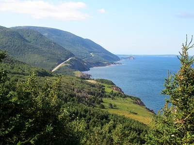 IMG_0545.jpg