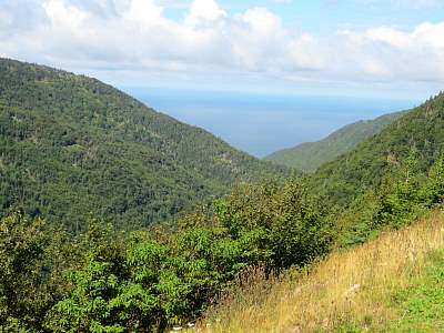 IMG_0548.jpg