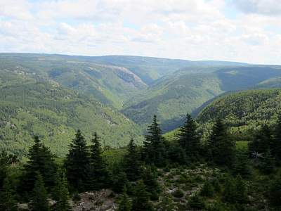 IMG_0554.jpg