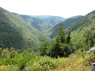 IMG_0559.jpg