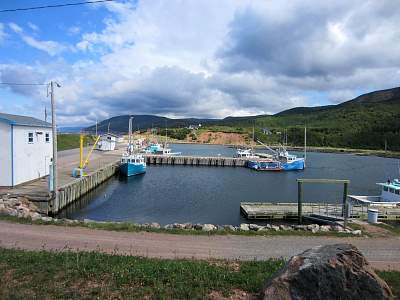 IMG_0561.jpg