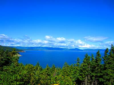 IMG_0582.jpg