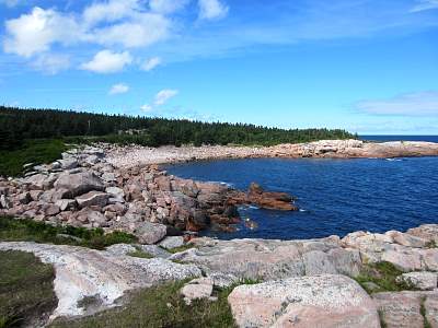 IMG_0603.jpg