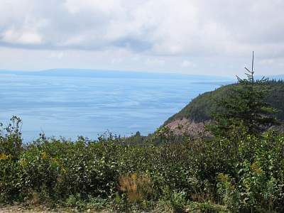 IMG_0615.jpg