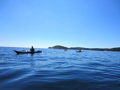 IMG_0653.jpg