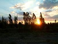 DSCF0068.jpg