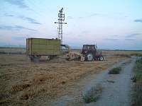 DSCF0078.jpg