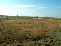 DSCF0086.jpg