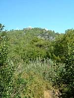 DSCF0110.jpg
