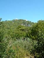 DSCF0111.jpg