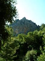 DSCF0115.jpg