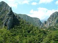 DSCF0144.jpg