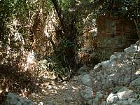 DSCF0145.jpg